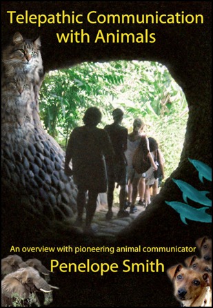 Telepathic Communication with Animal DVD cover